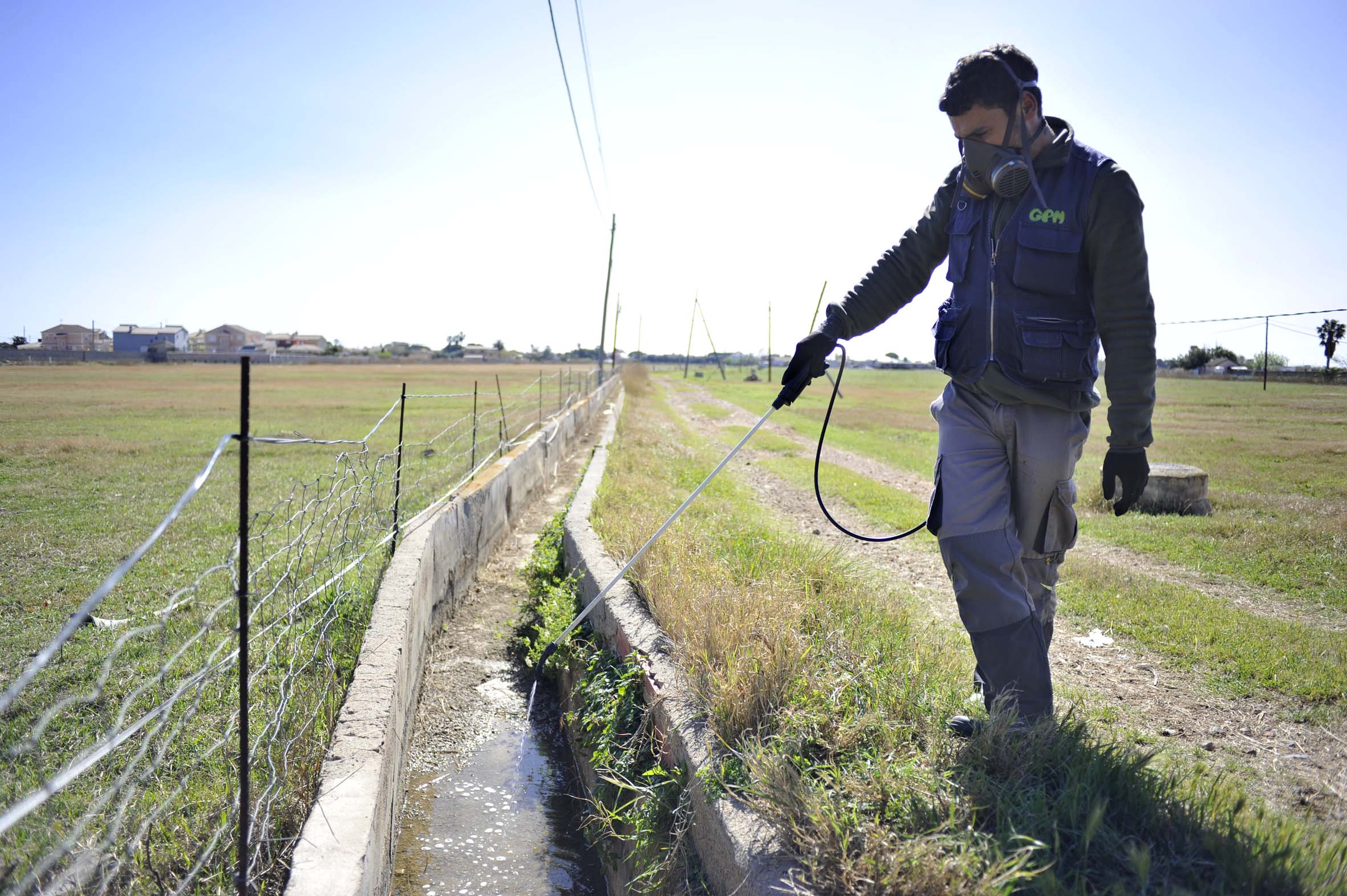 20160723 Trabajos contra los mosquitos 09.jpg