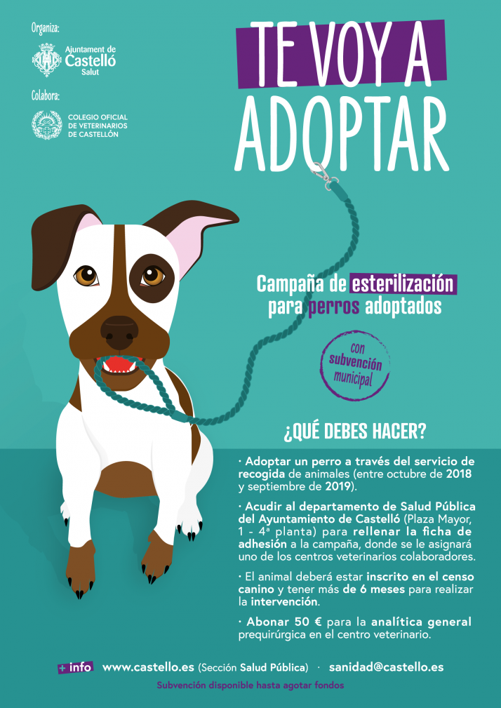 quiero adoptarte.png