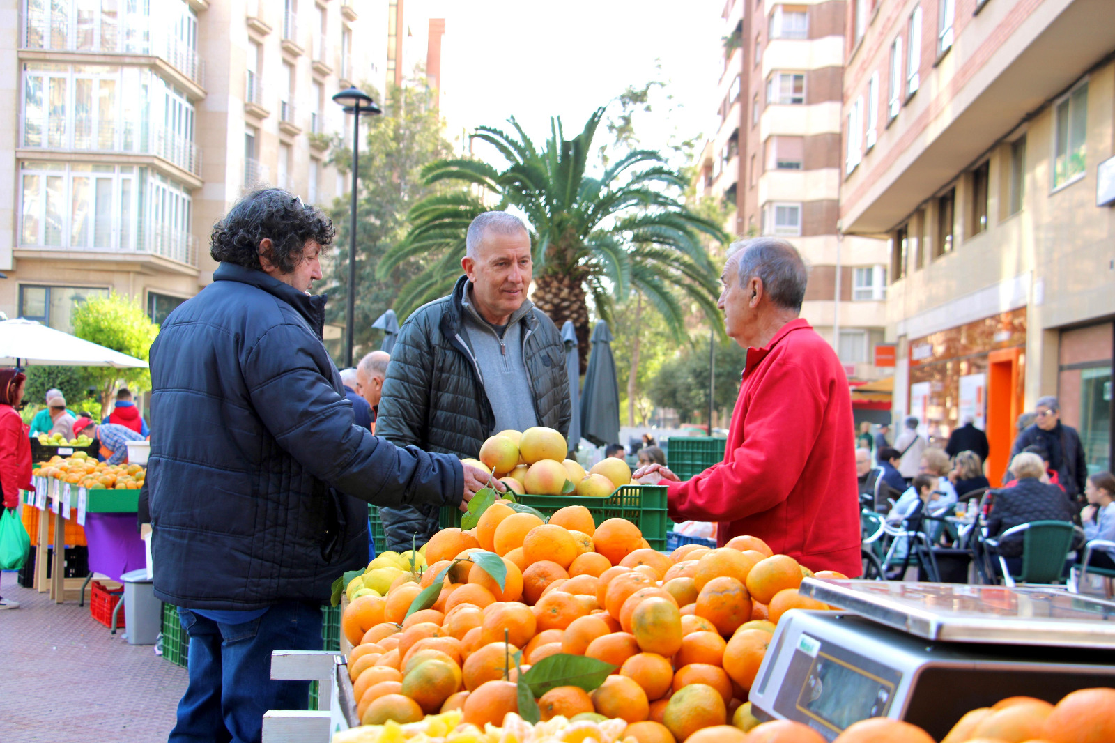 El Mercat de la Taronja de Castelló consolida les taronges locals amb més de 20 llocs de venda