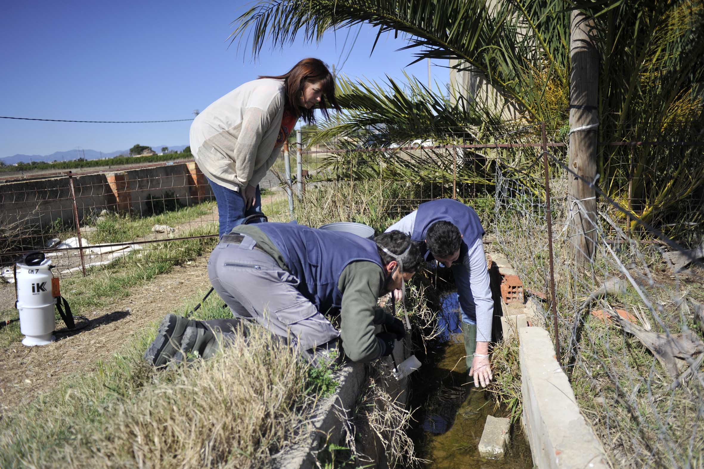 07-05-2017 Castellon intensifica la lucha contra la plaga de mosquitos ante la subida de las temperaturas 2.jpg